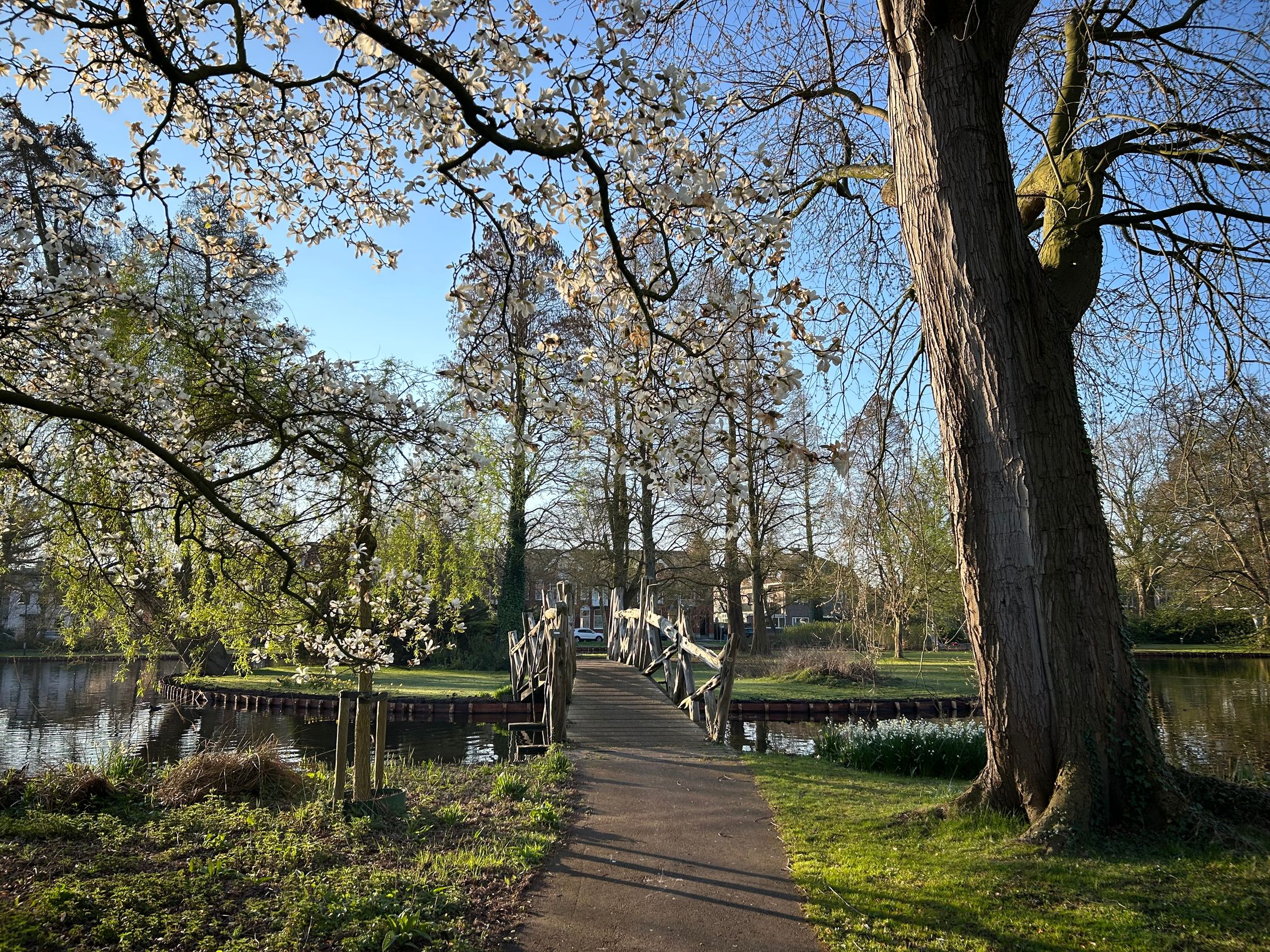 Foto 54 van van Bergen IJzendoornpark 33