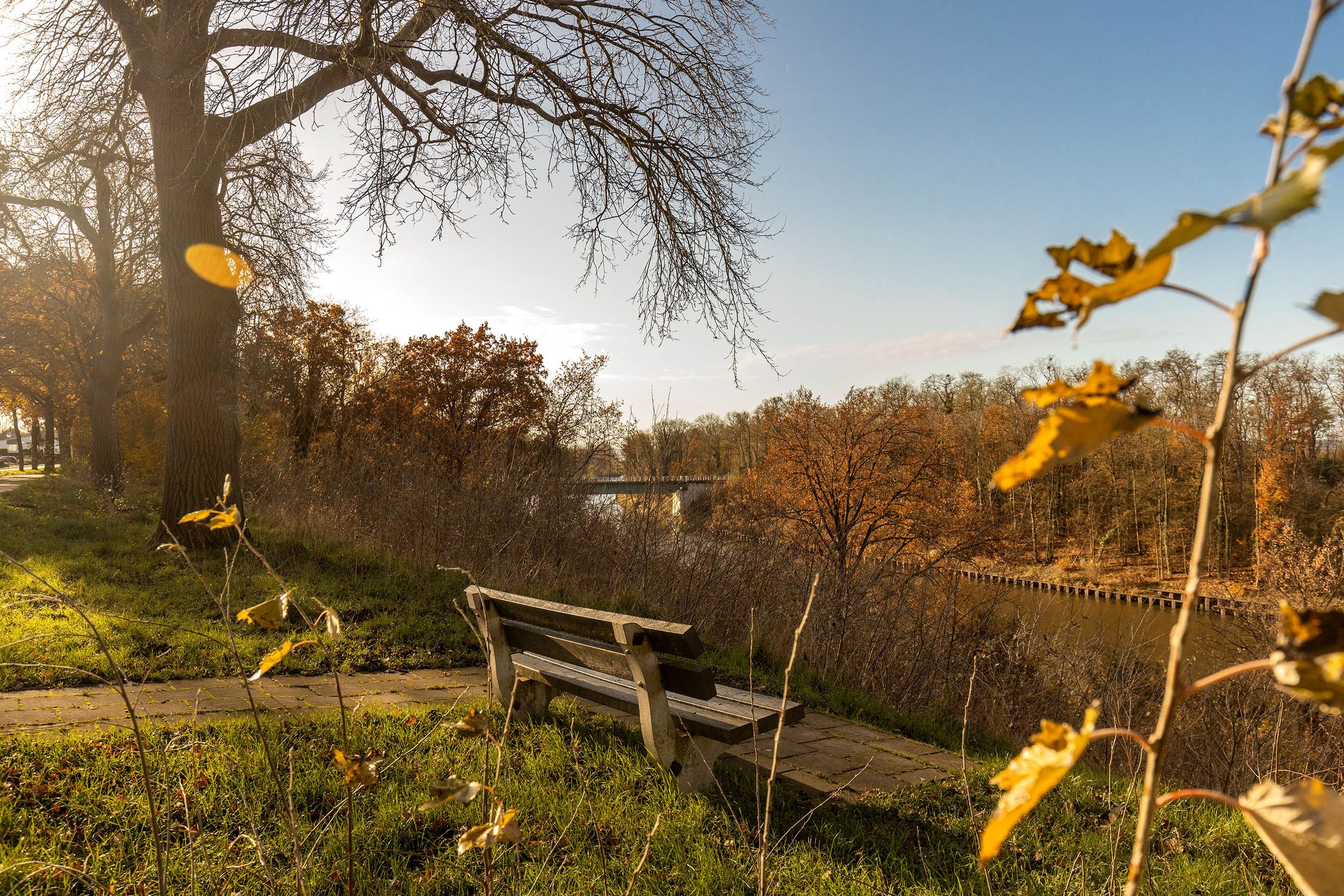 Foto 9 van Scharberg 16