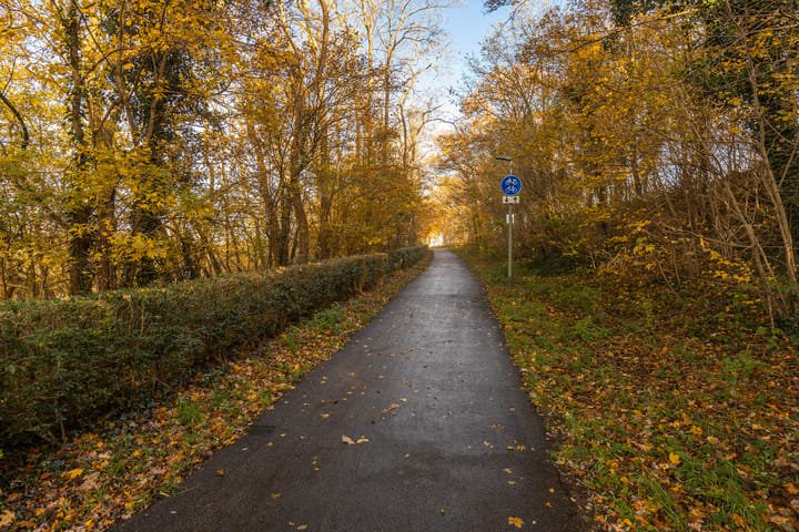 Foto 16 van Scharberg 16