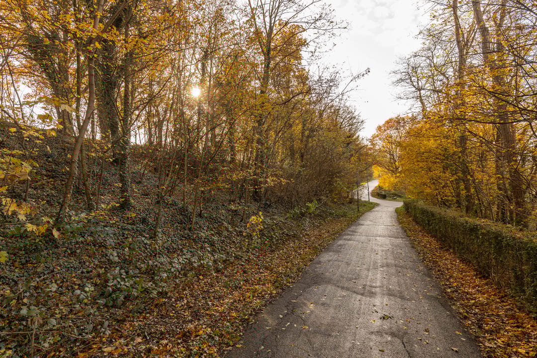 Foto 17 van Scharberg 16