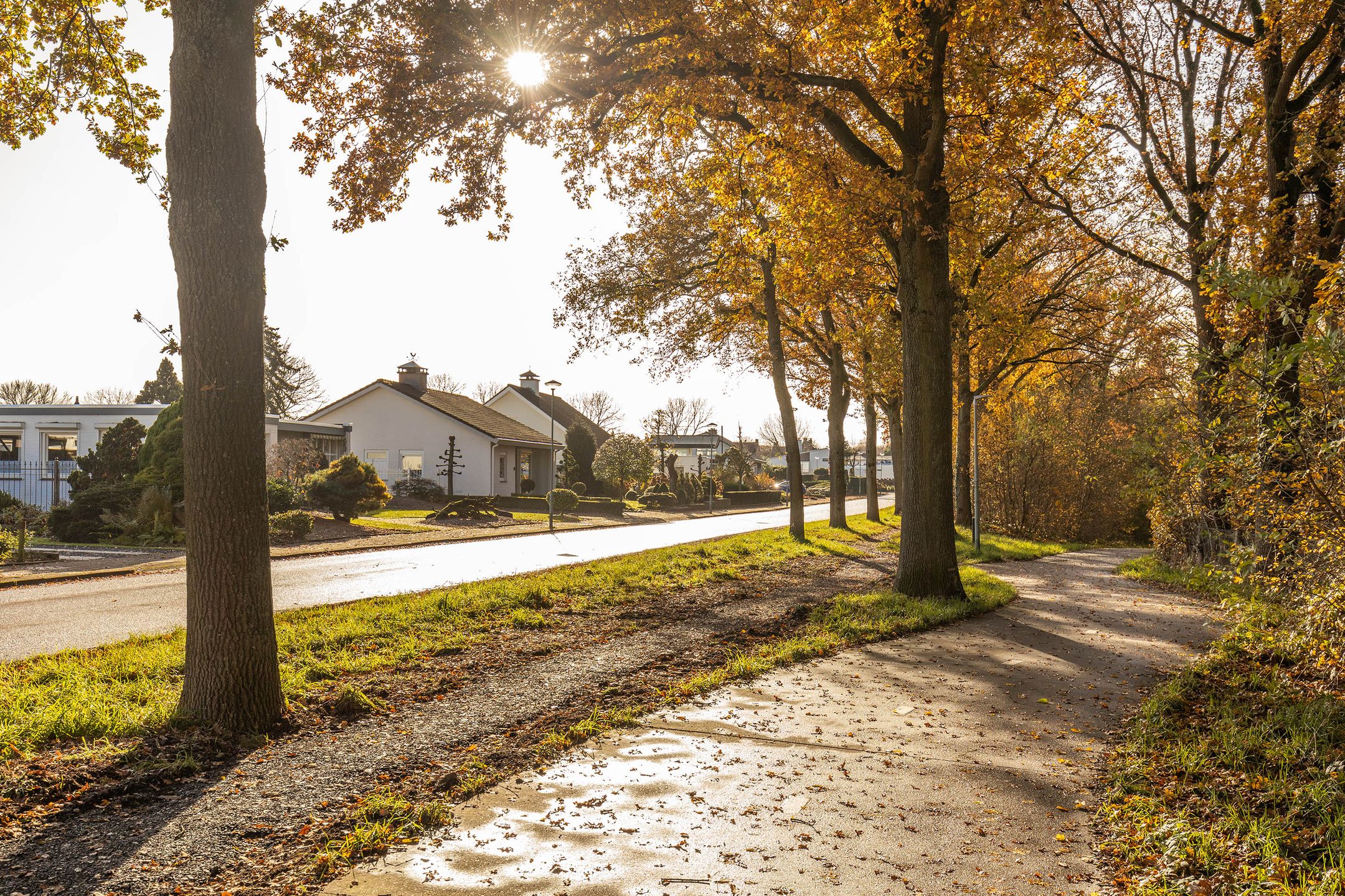 Foto 18 van Scharberg 16