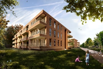 Dennenappel XL thumbnail