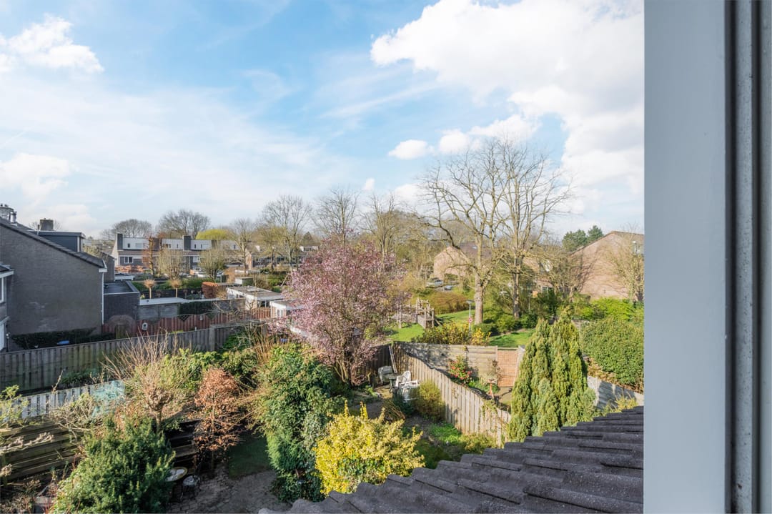 Foto 41 van Meeuwenlaan 23