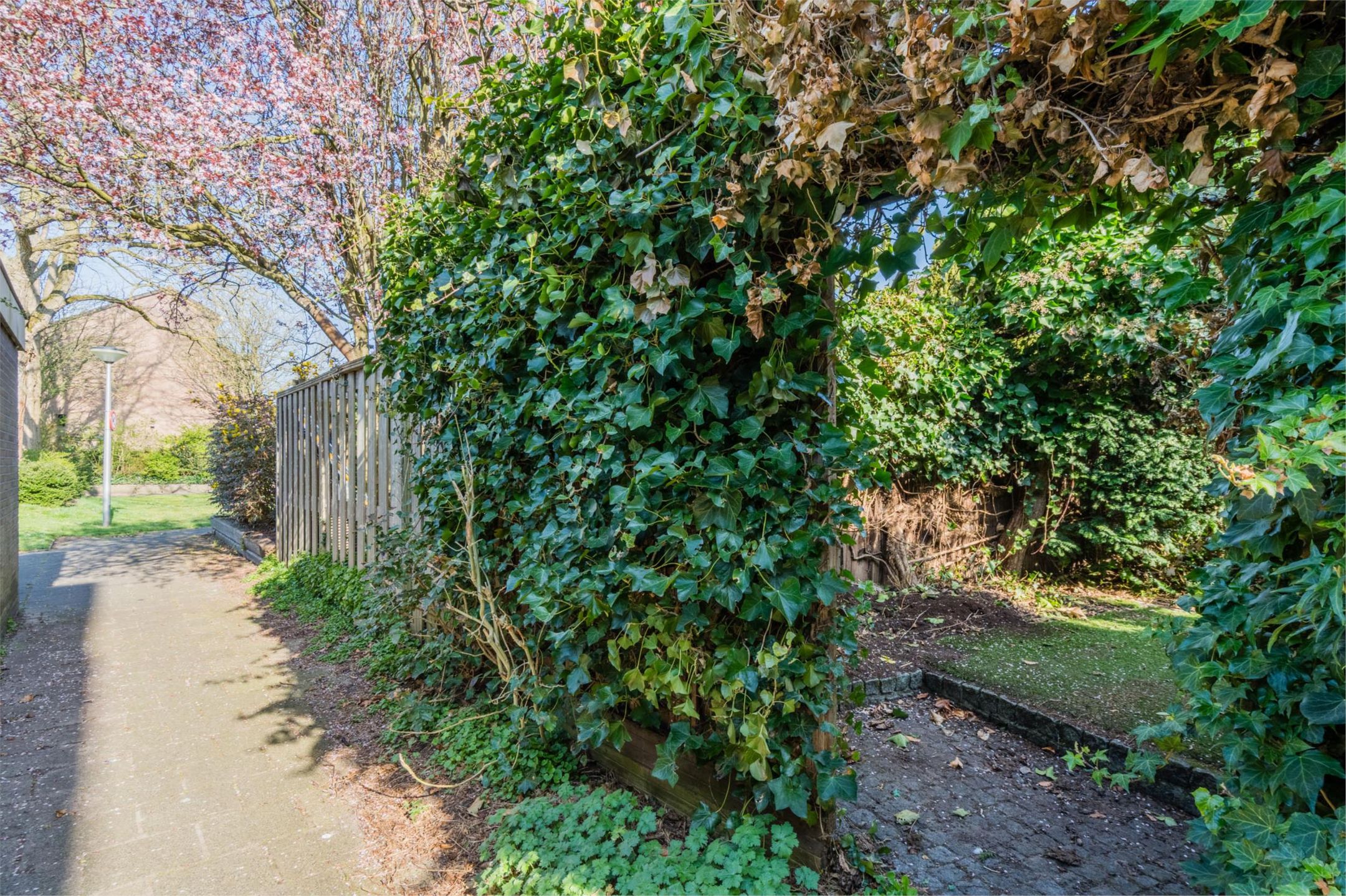 Foto 57 van Meeuwenlaan 23