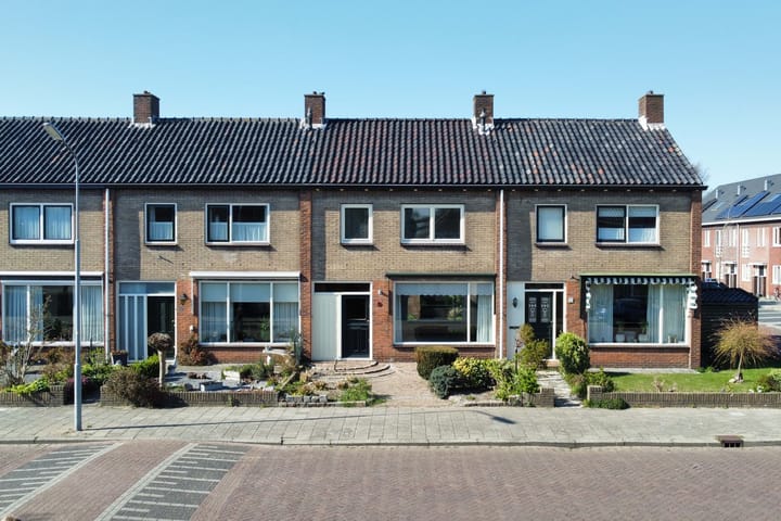 undefined main image