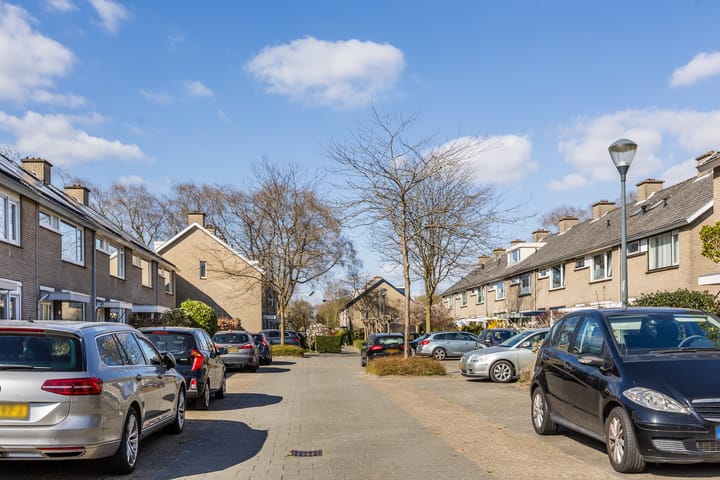 Photo 40 of Meent 57