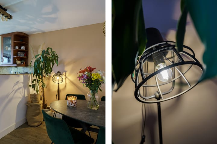 Foto 5 van Pikeur 12