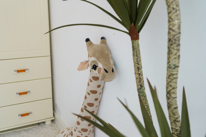 Foto 24 van Pikeur 12