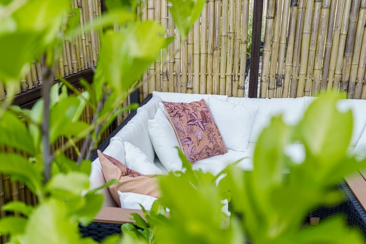 Foto 27 van Pikeur 12