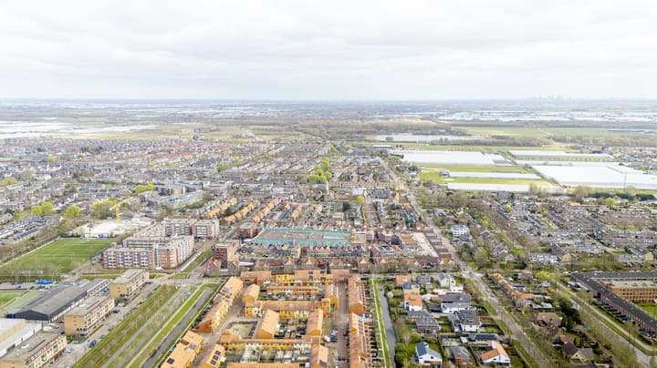 Foto 36 van Pikeur 12