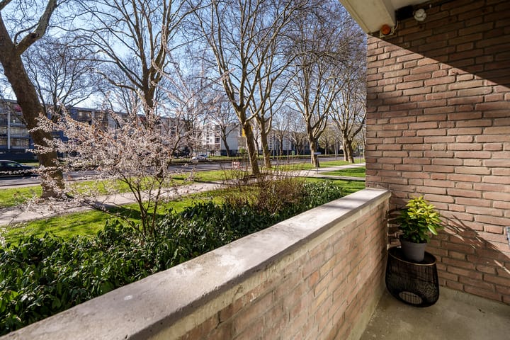 Foto 20 van Plotinusstraat 132