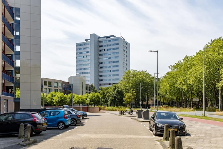 Foto 3 van Wamberg 81