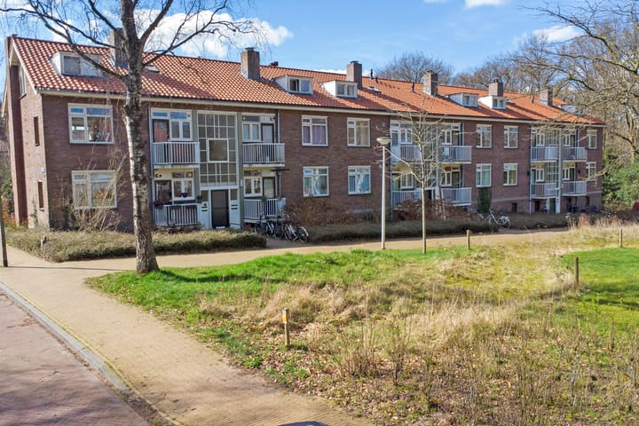 Foto 8 van Treublaan 17-B