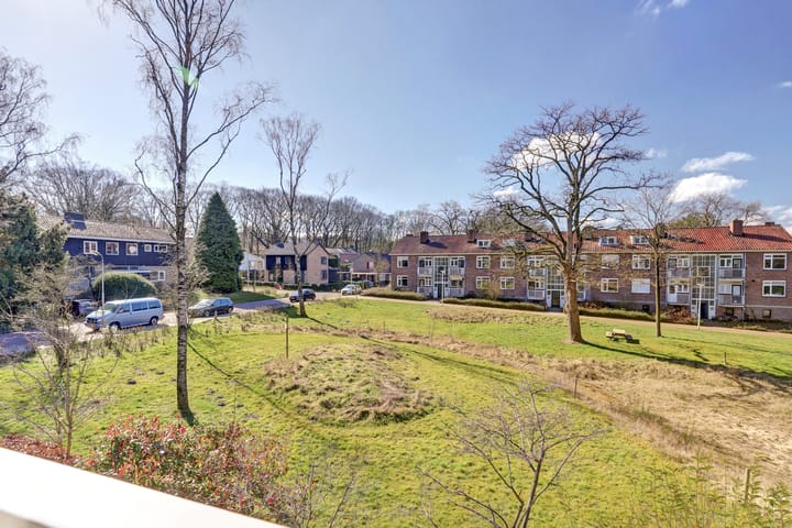 Foto 24 van Treublaan 17-B