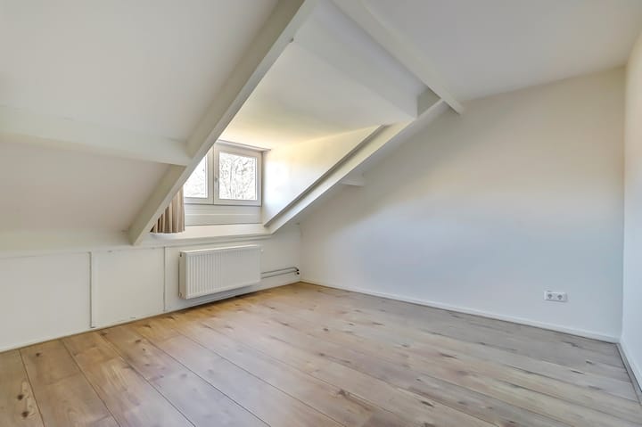 Foto 29 van Treublaan 17-B