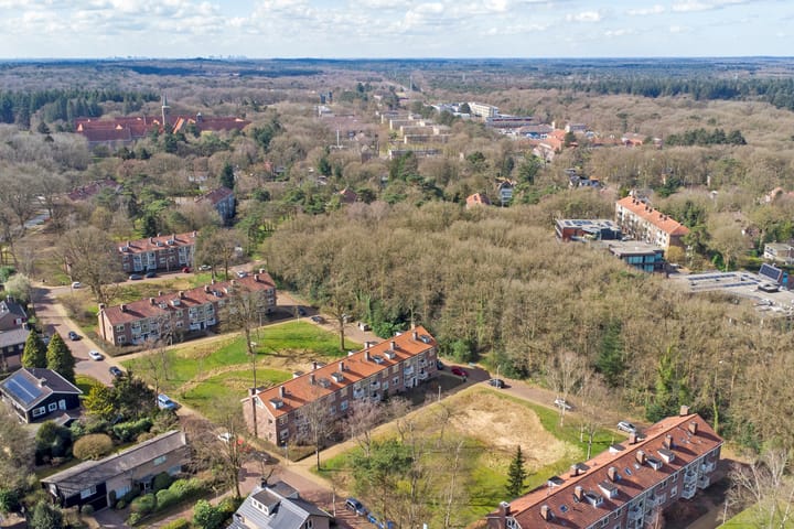 Foto 37 van Treublaan 17-B