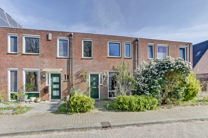 Foto 1 van Peppengouw 100