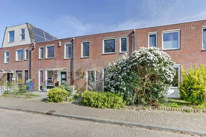 Foto 5 van Peppengouw 100