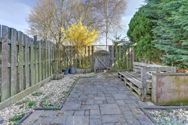 Foto 32 van Peppengouw 100