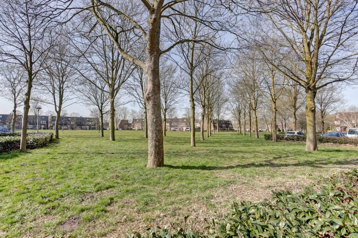 Foto 36 van Peppengouw 100