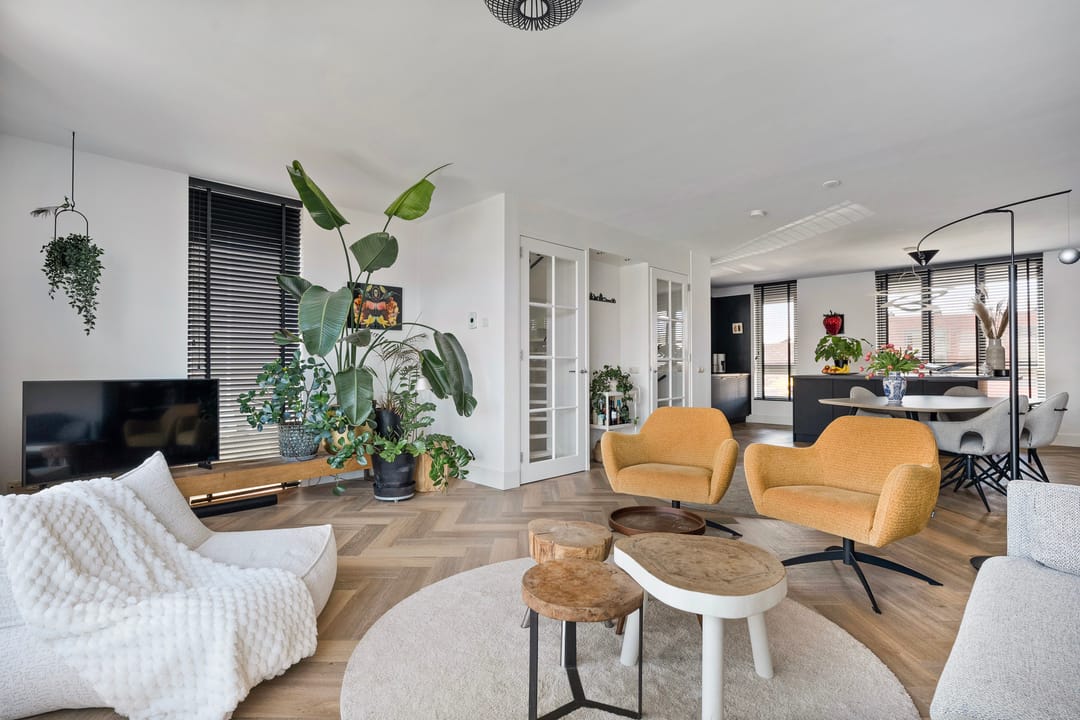 Photo 8 of de Omloop 6