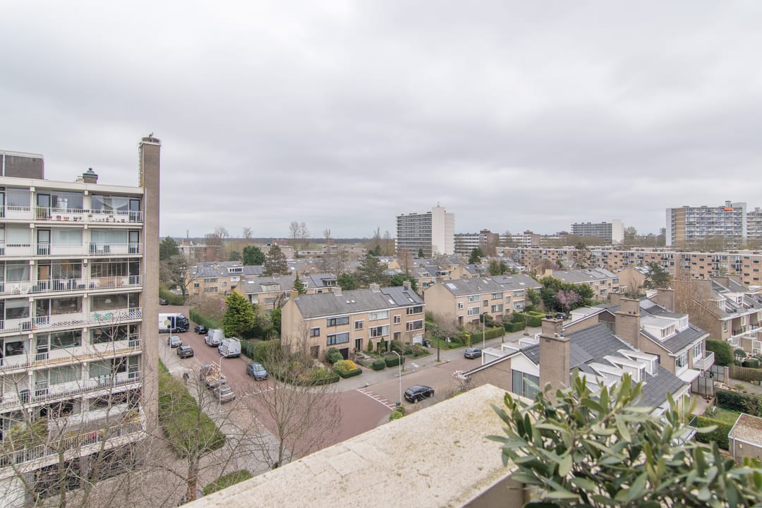 Foto 13 van Suzannaland 168