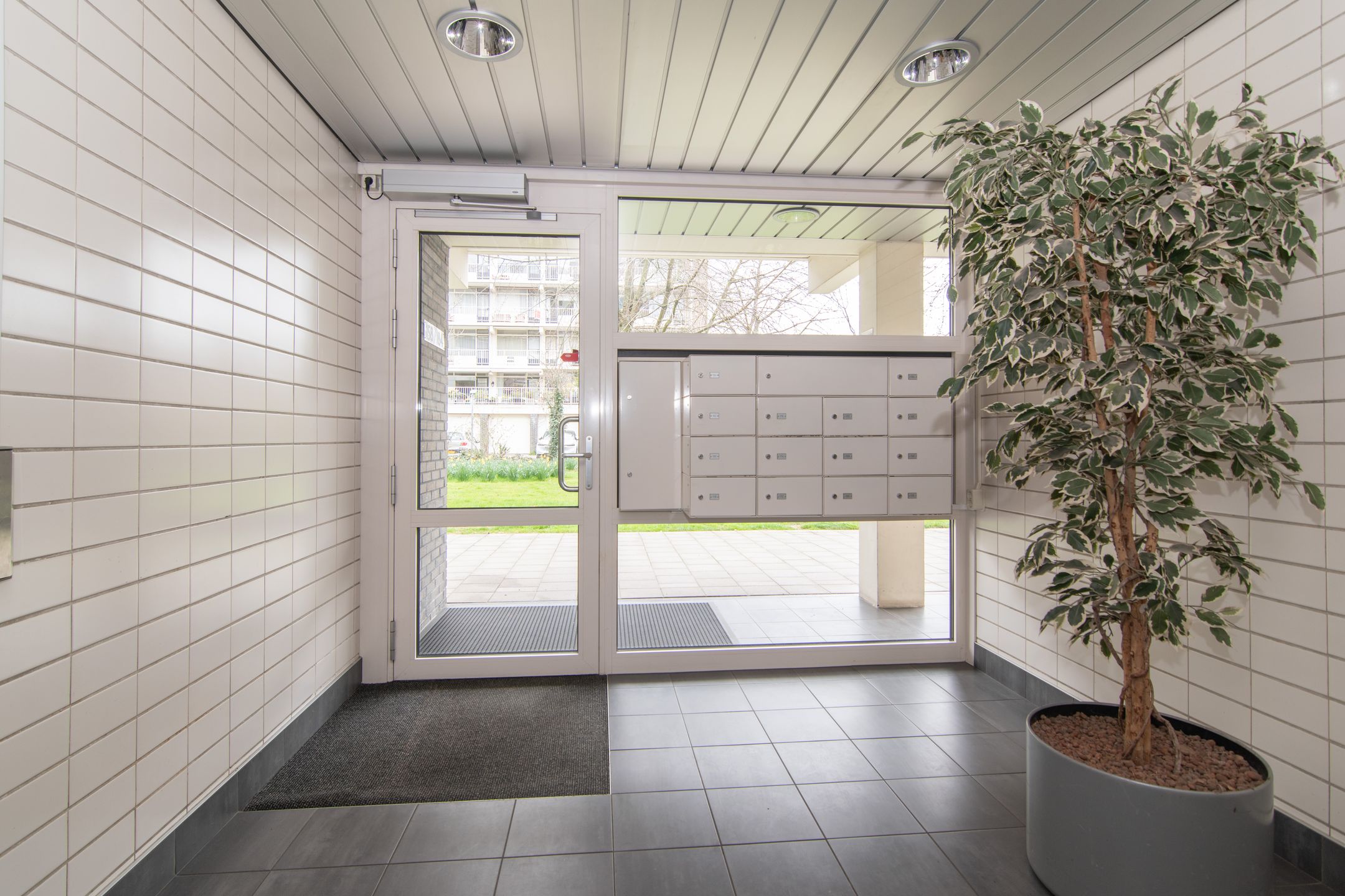 Foto 30 van Suzannaland 168