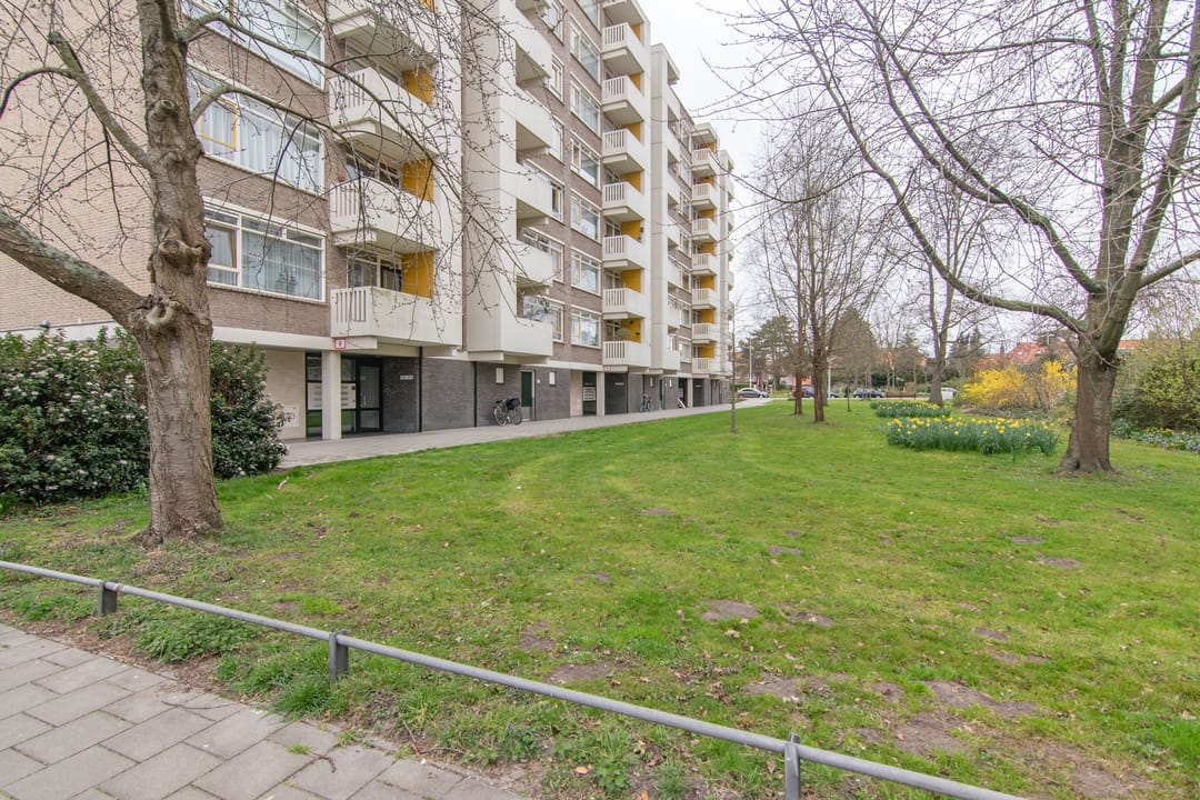 Foto 31 van Suzannaland 168