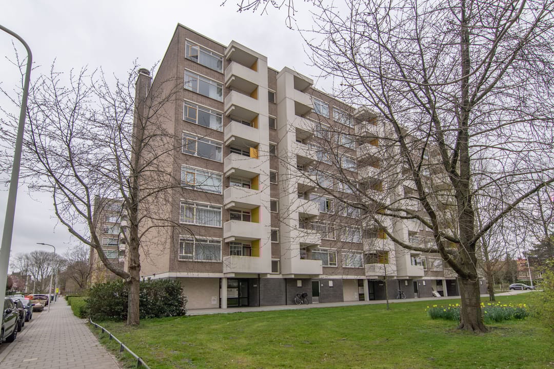 Foto 32 van Suzannaland 168