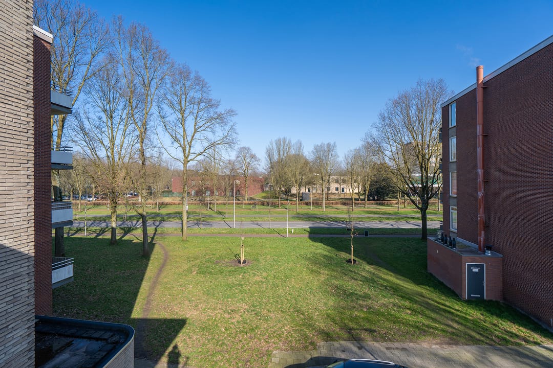 Foto 32 van Predikherenlaan 205