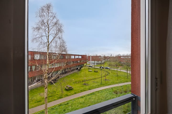 Photo 22 of Forel 368