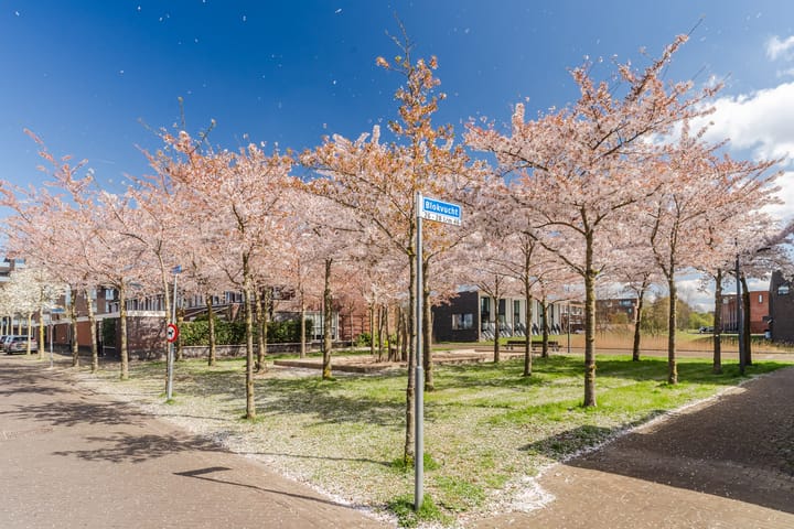 Foto 36 van Blokvucht 42