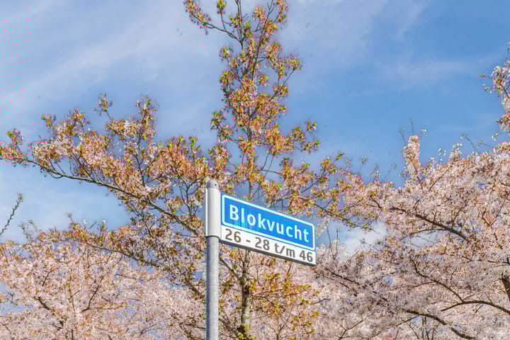 Foto 38 van Blokvucht 42