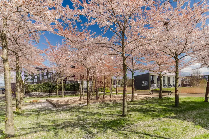 Foto 37 van Blokvucht 42