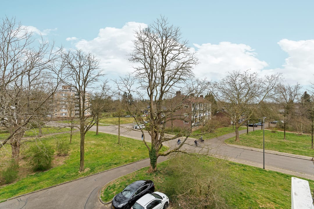 Photo 38 of Vogelplantsoen 153