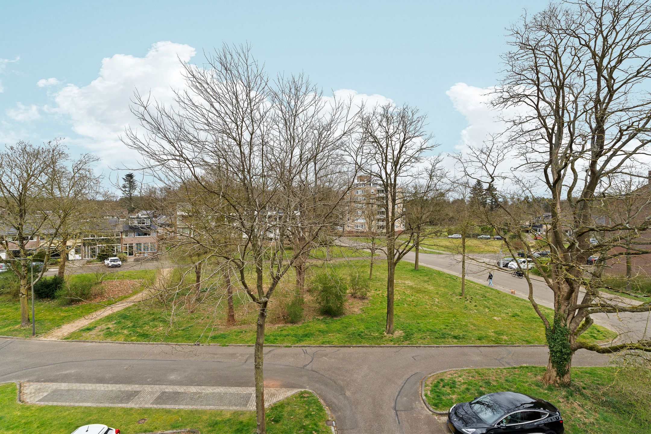 Photo 39 of Vogelplantsoen 153