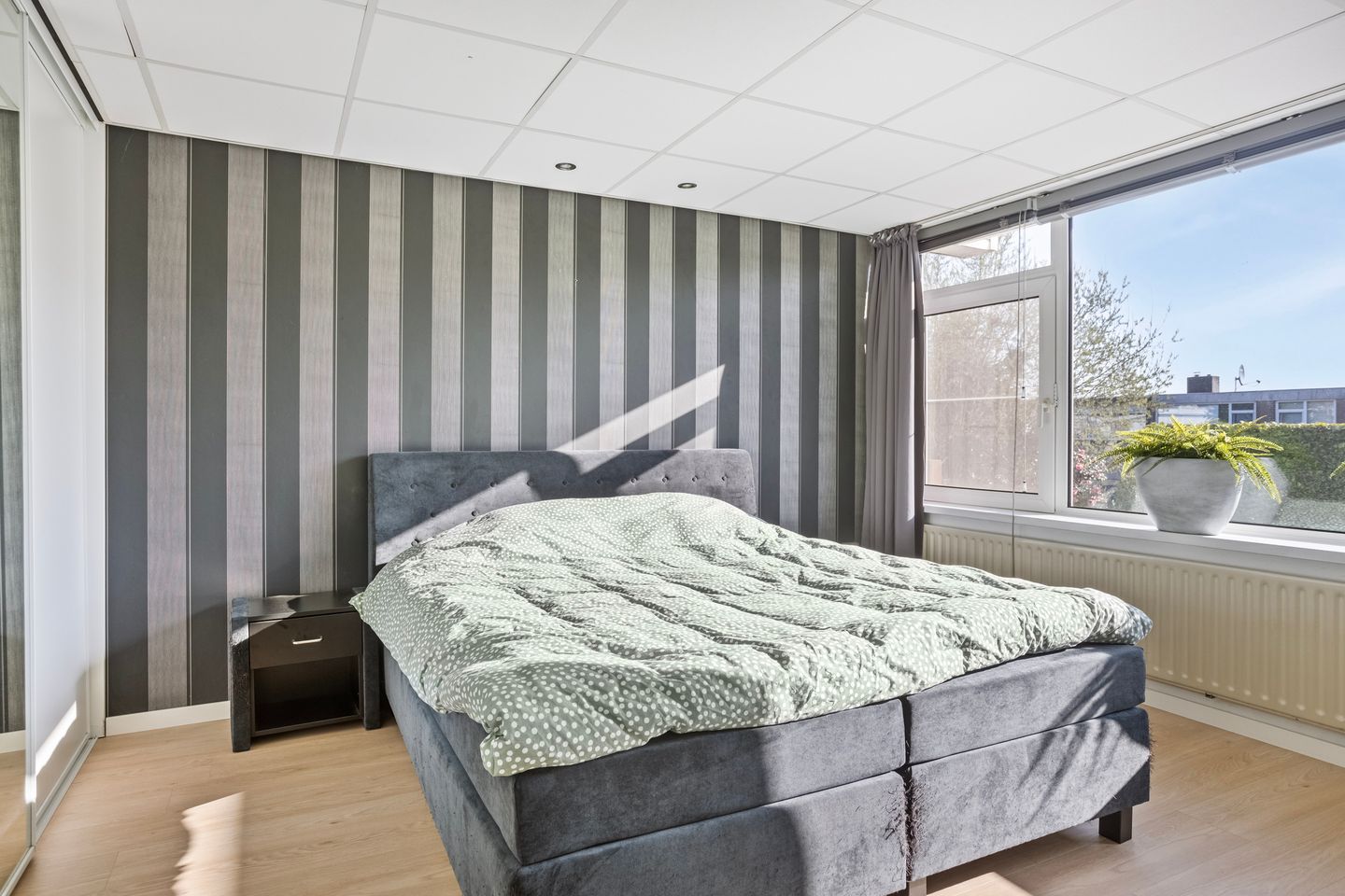 Foto 4 van van Ostadestraat 4