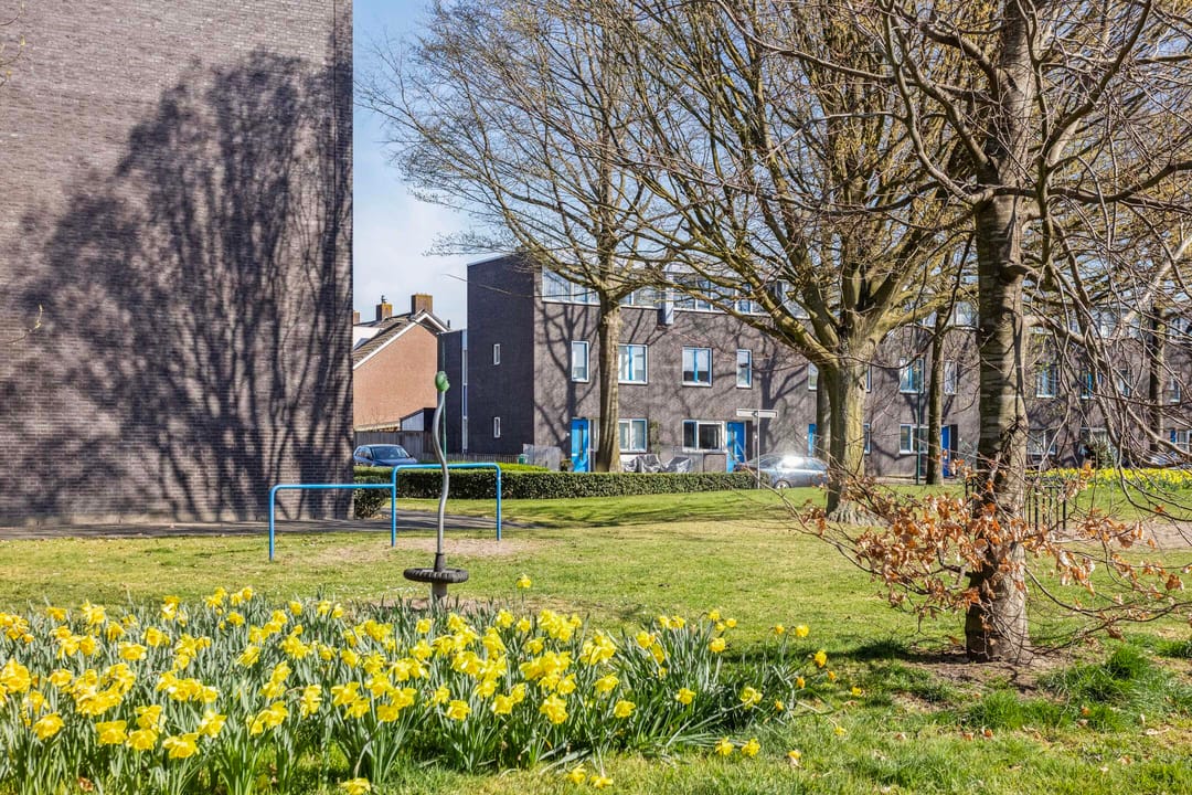 Foto 31 van van Ostadestraat 4