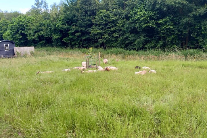 Foto 41 van Wildert 55