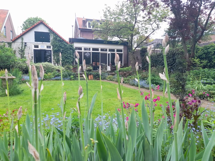 Foto 46 van Kerkstraat 8