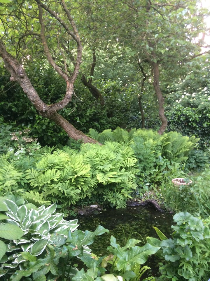 Foto 48 van Kerkstraat 8