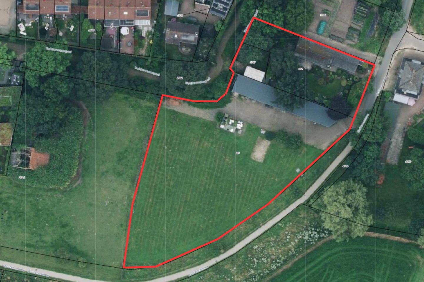 Foto 4 van Buitenomme 12