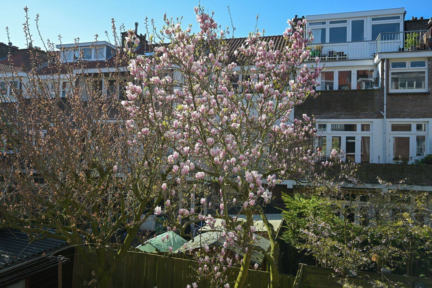 Foto 14 van Zwolsestraat 369