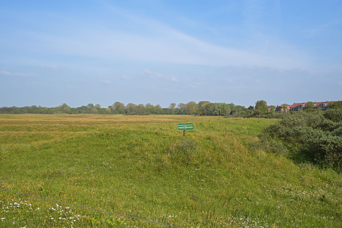 Foto 25 van Zwolsestraat 369