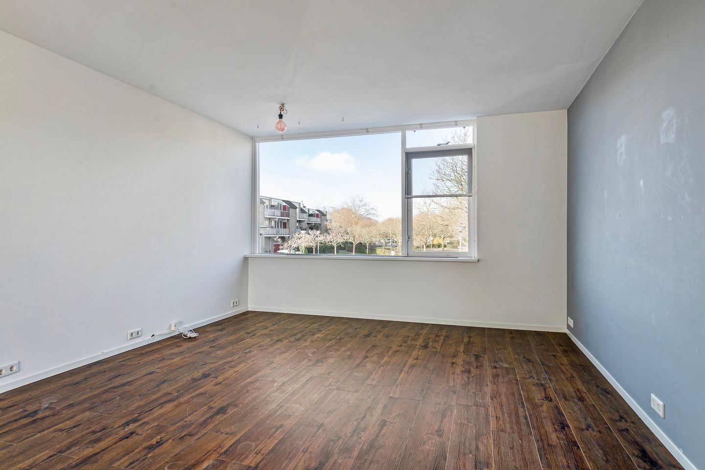 Photo 14 of Schokker 24