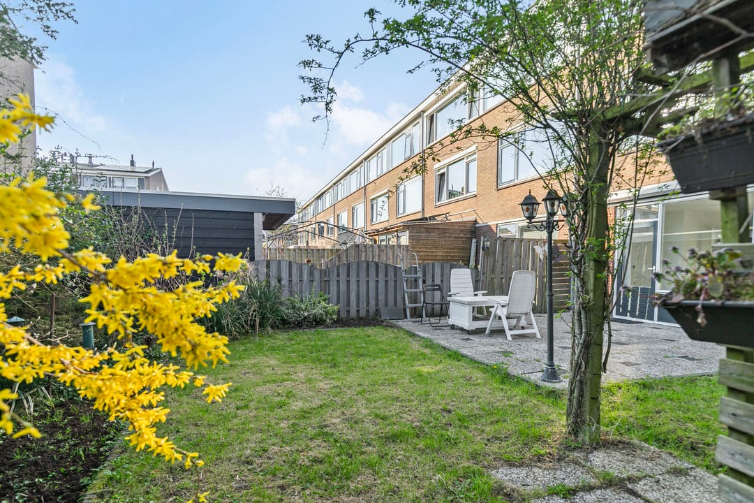 Photo 32 of Schokker 24