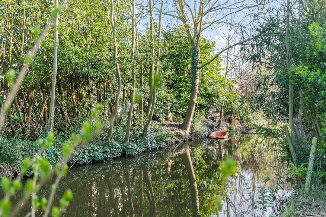 Photo 38 of Schokker 24