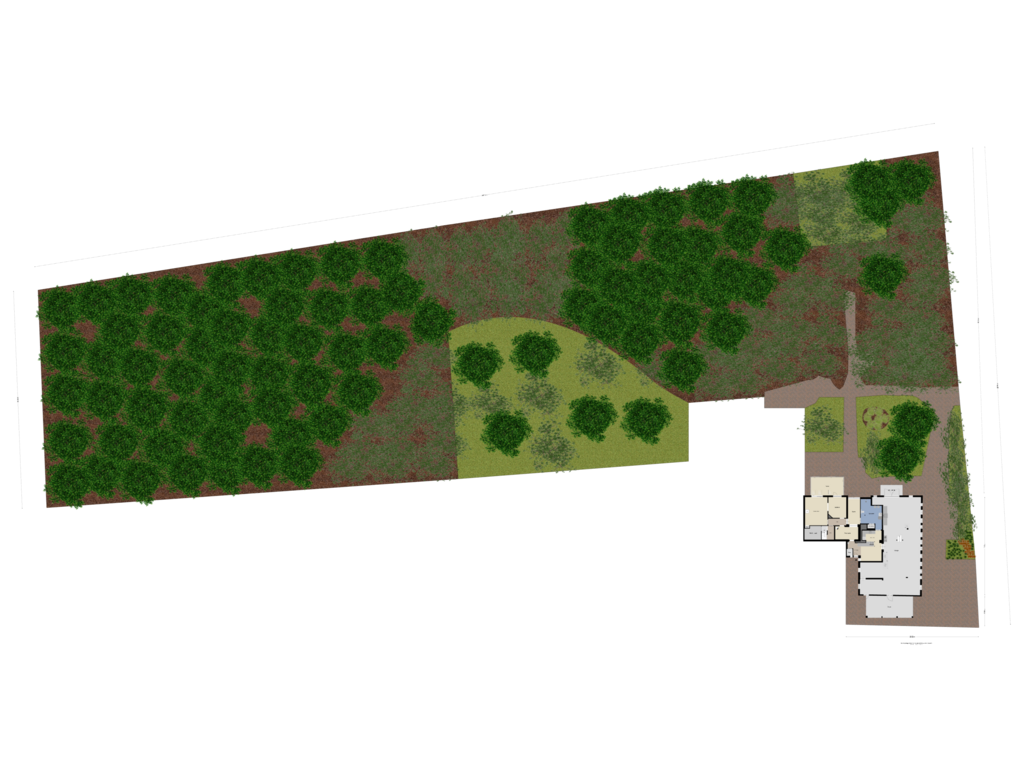 Begane Grond Tuin