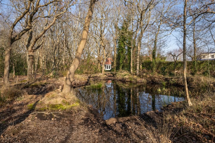 Foto 4 van Californiëweg 363