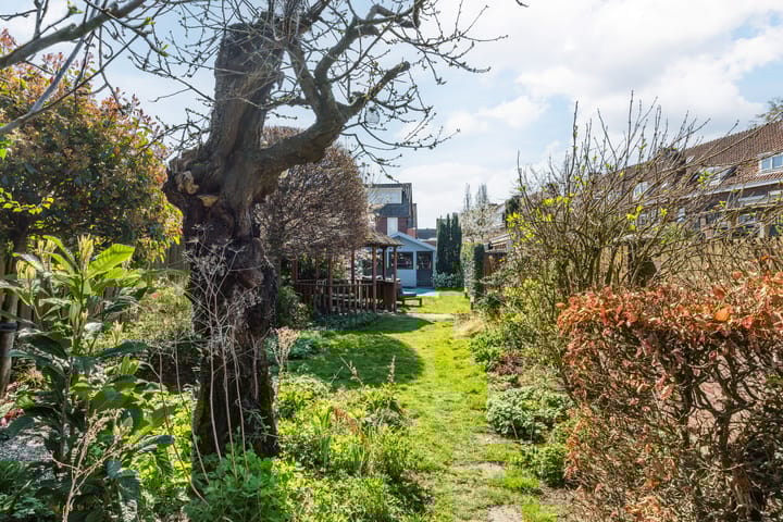 Foto 61 van van Schelbergenstraat 21